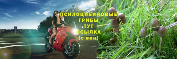 2c-b Абинск