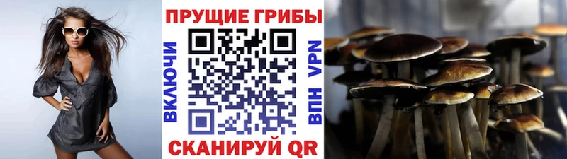 Псилоцибиновые грибы MAGIC MUSHROOMS  OMG маркетплейс  Майский 