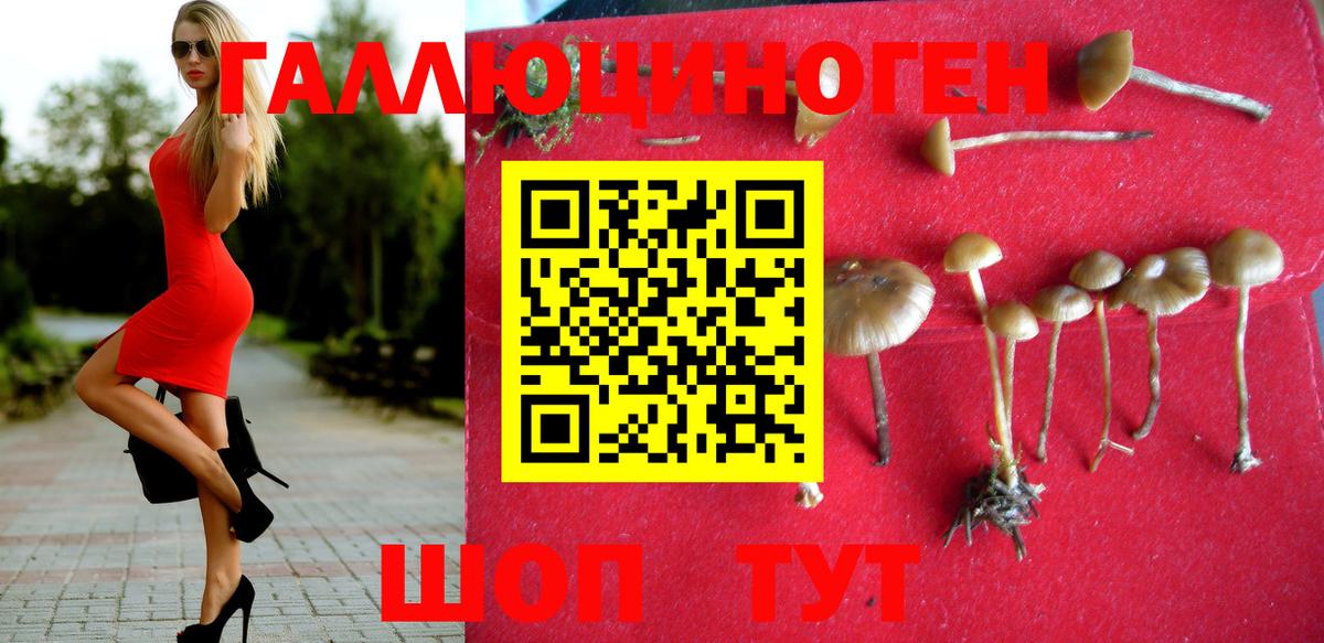 Майский  Псилоцибиновые грибы Cubensis  наркота  Вход с VPN 